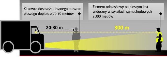 obraz_info-mo_gina_piesi