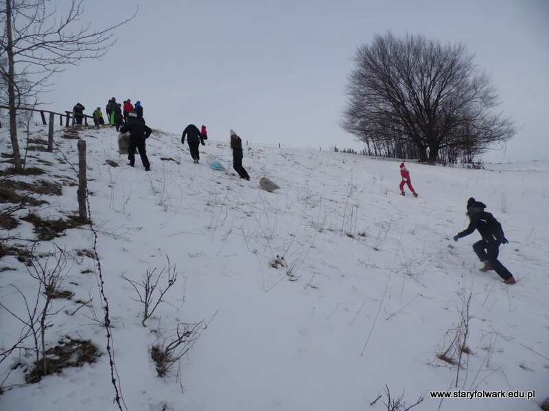 82-SAM_3330
