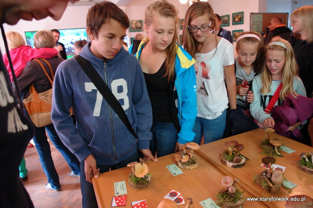053-DSC04313