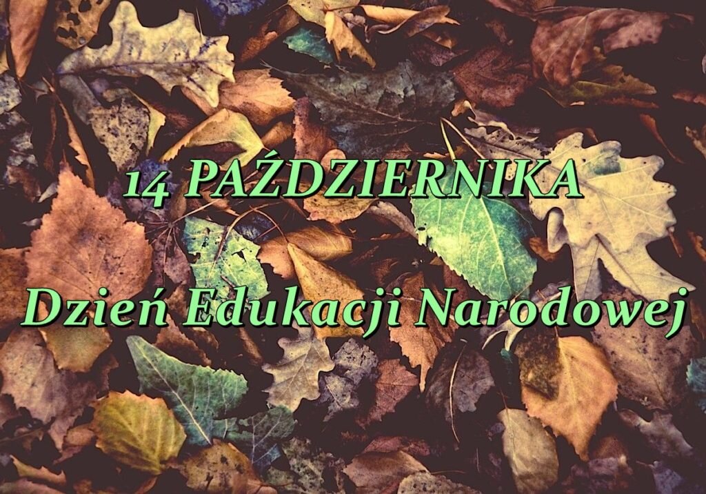 lizdc1-78462a