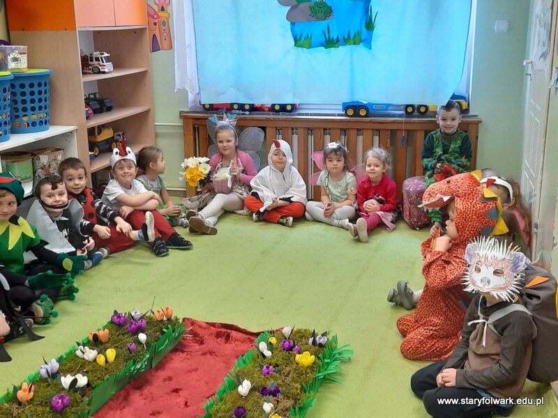 wybory miss i mistera wiosny