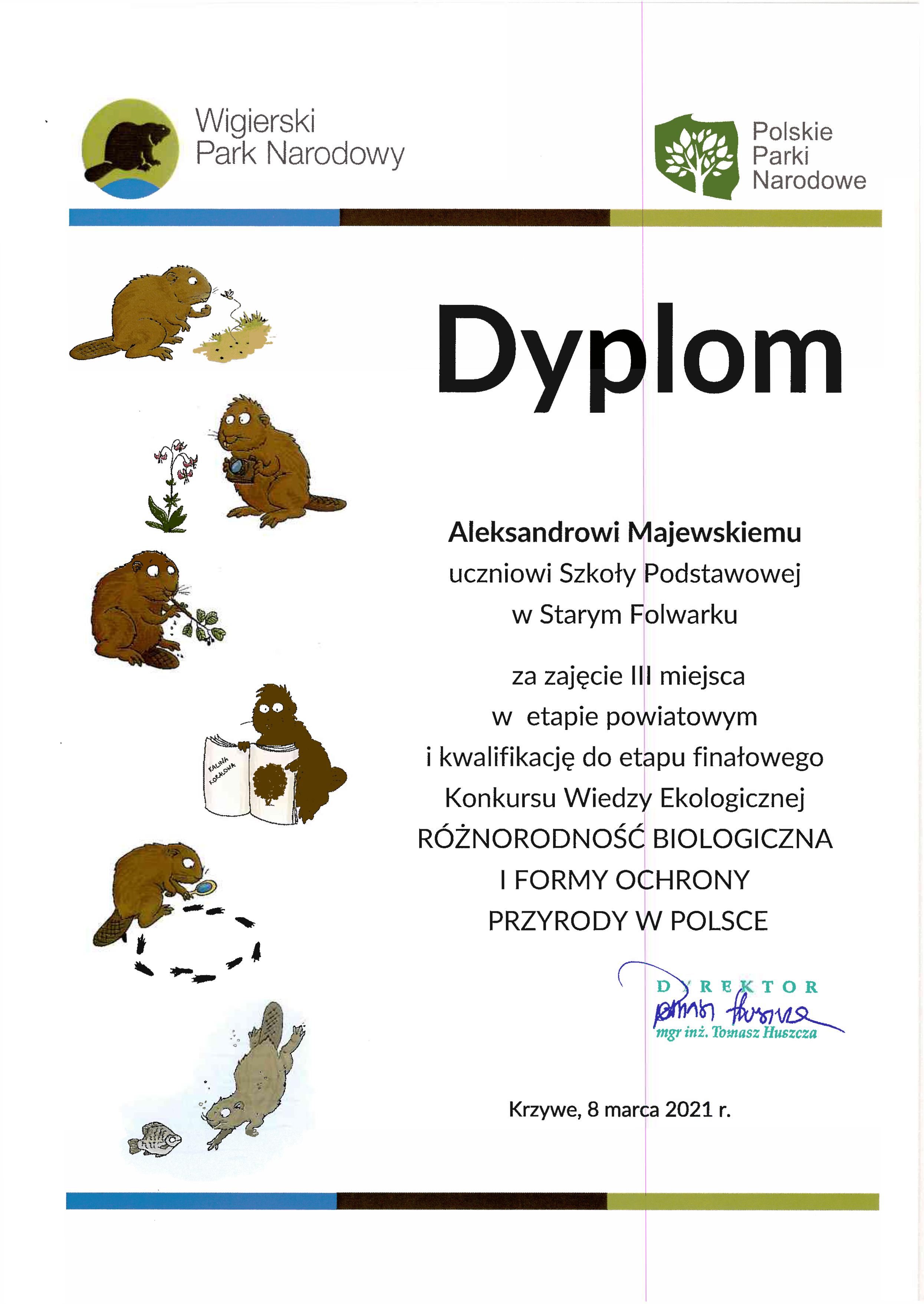 dyplom olek