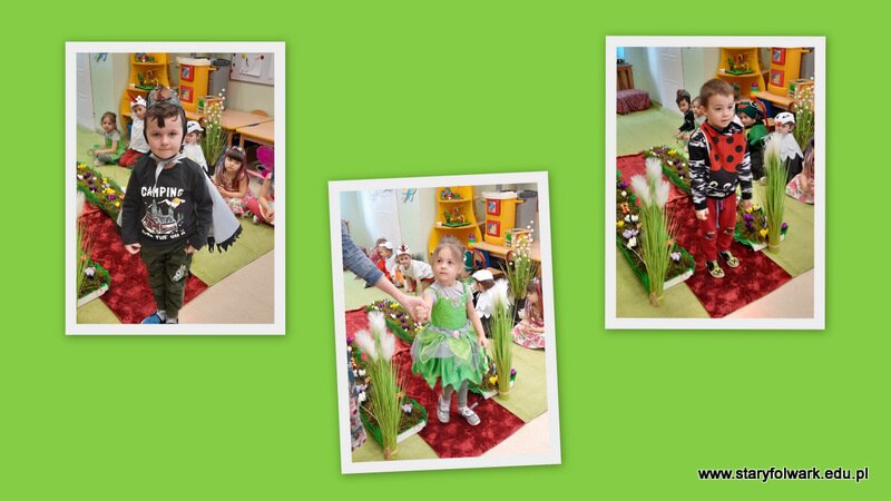 wybory miss i mistera wiosny