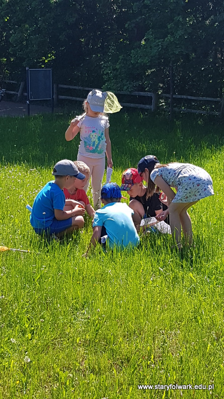 zajęcia wpn op