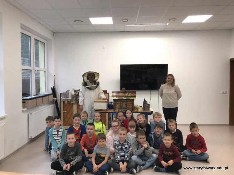 Zajęcia edukacyjne – pszczoły