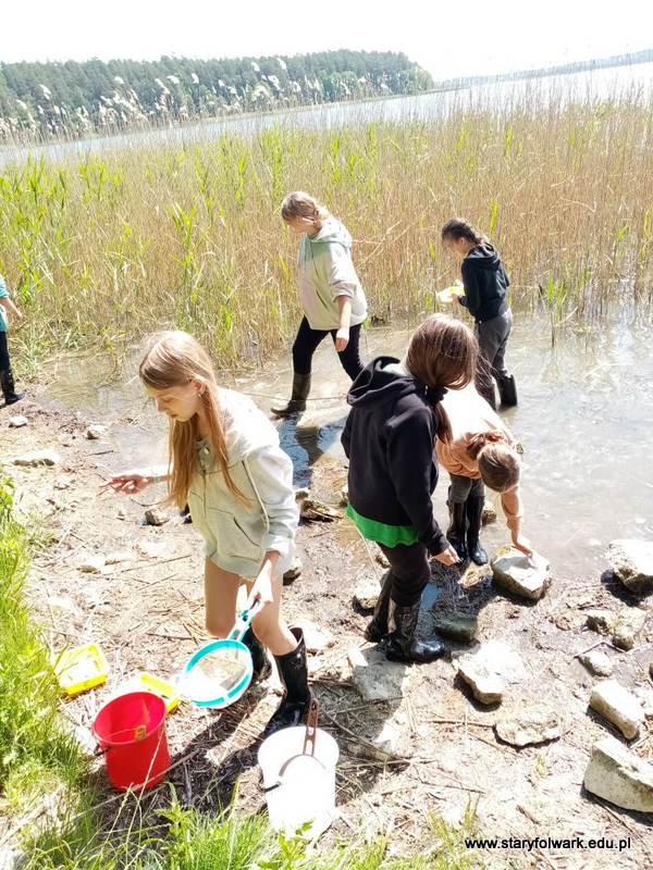 Zajęcia w Centrum Edukacji Środowiskowej nad Zatoką Słupianską